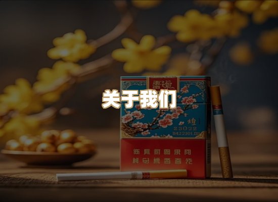 关于蓝帝网